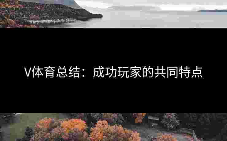 V体育总结：成功玩家的共同特点