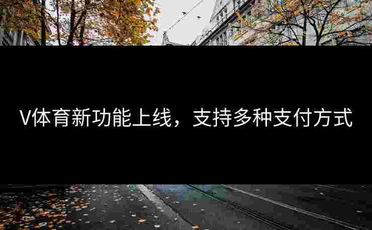 V体育新功能上线，支持多种支付方式