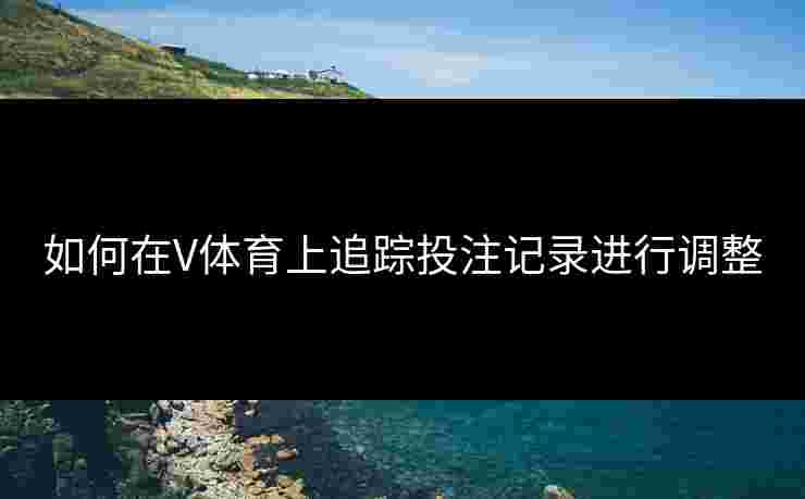 如何在V体育上追踪投注记录进行调整